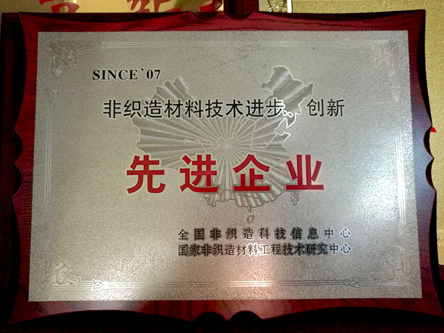非織造材料技術(shù)進步、創(chuàng)新－先進企業(yè)