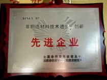 非織造材料技術進步、創(chuàng)新－先進企業(yè)